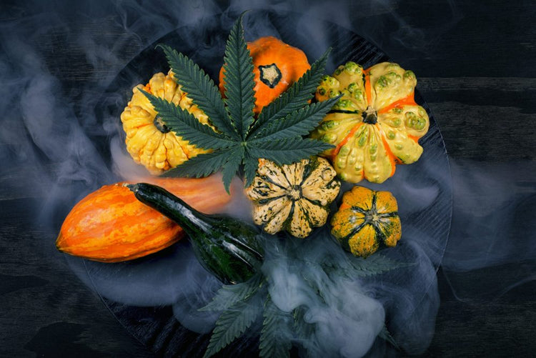 cannabis-seasonal-recommendations-for-fall-scaled-e1602883382572.jpg?v=1697136175&width=750